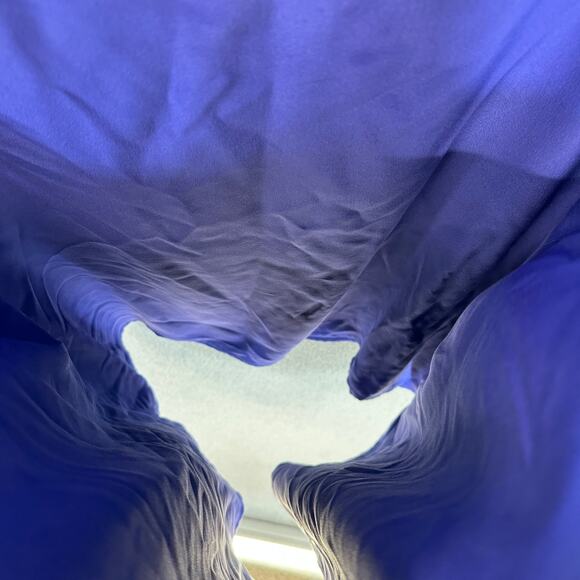 Classiques For Nordstrom Top Womens Size Medium Petite Royal Blue 100% Silk Tank - Picture 5 of 10